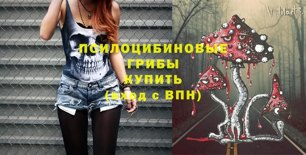 мдпв Остров