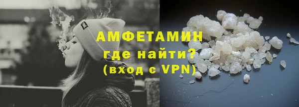 прущие грибы Магас