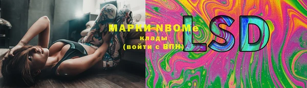 сатива Нефтекумск