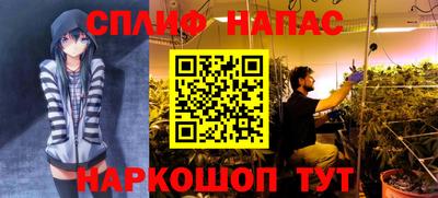 Альфа ПВП Кунгур