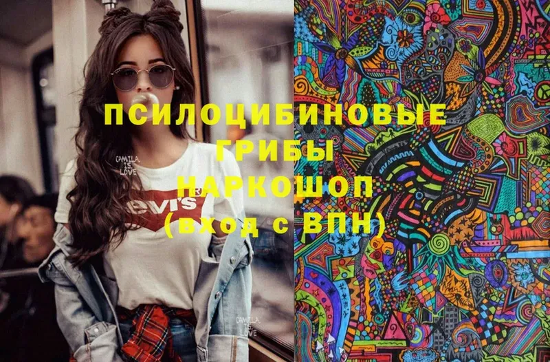 Псилоцибиновые грибы Magic Shrooms  купить закладку  Кузнецк 