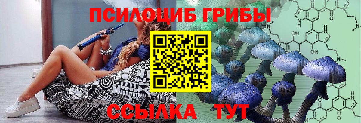 Псилоцибиновые грибы прущие грибы Кузнецк
