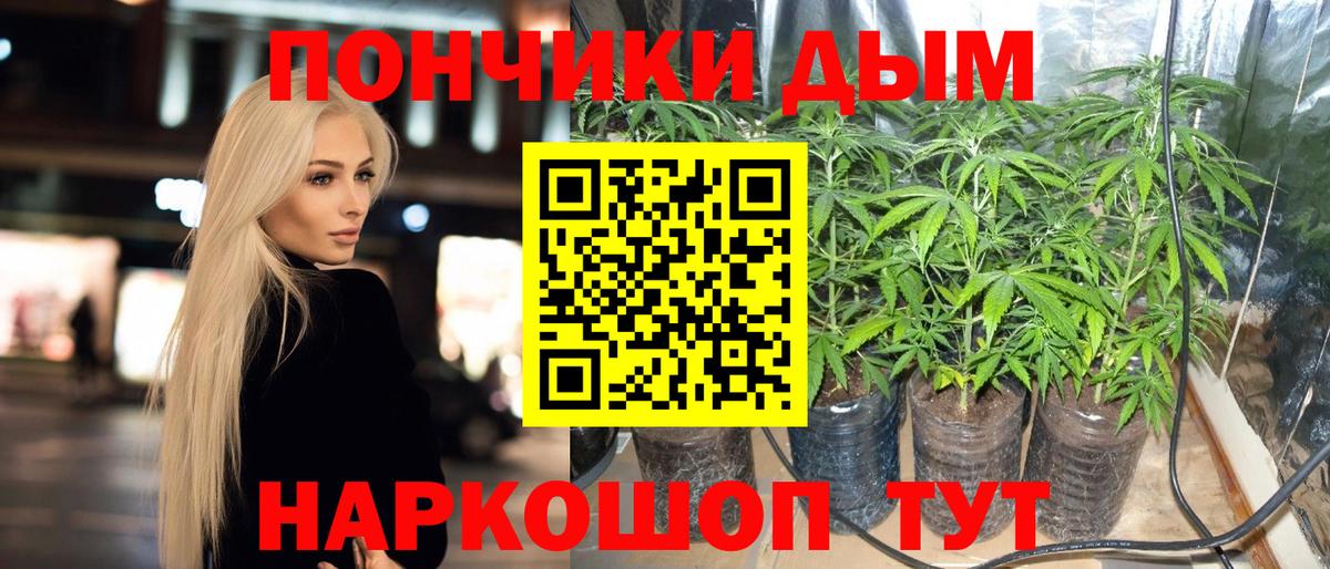 МАРИХУАНА семена Кузнецк